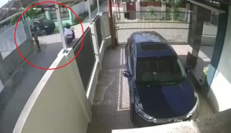 Ngeri Seorang Emak emak Pengendara Motor Tertabrak Pickup Hingga Terpental Jauh