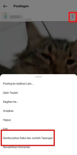 Cara Menyembunyikan Jumlah Tayangan di IG