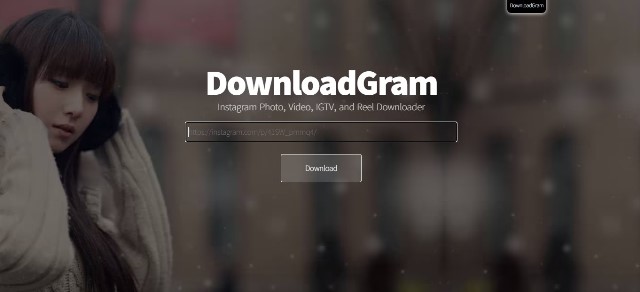 DownloadGram