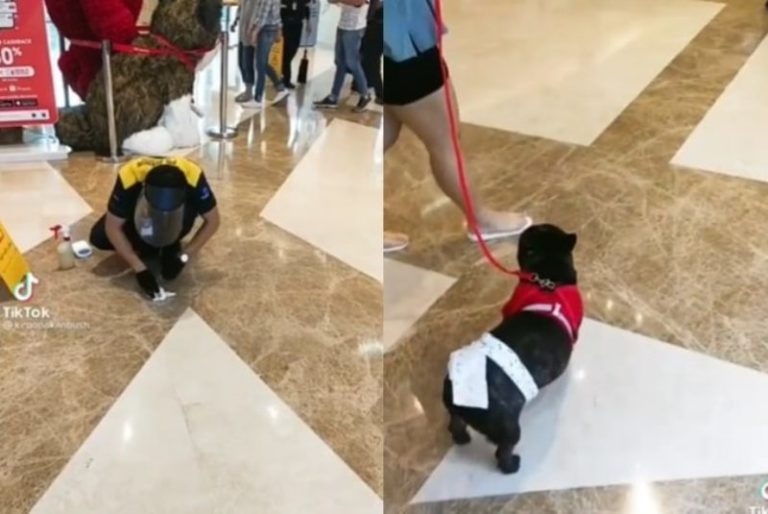 VIRAL Video Petugas Bersihkan Kotoran Anjing Milik Pengunjung di Mal Ramai Dikritik