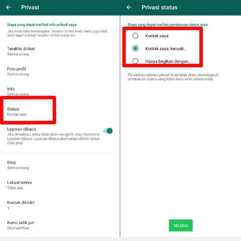 Cara Menyembunyikan Status WA