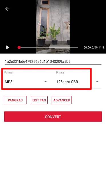 Convert Video to Audio