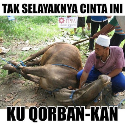 Meme Hewan Qurban Idul Adha 2021