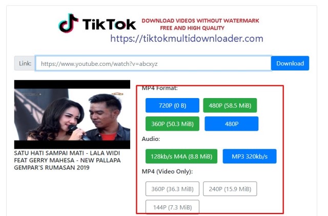 Pemilihan Format Video