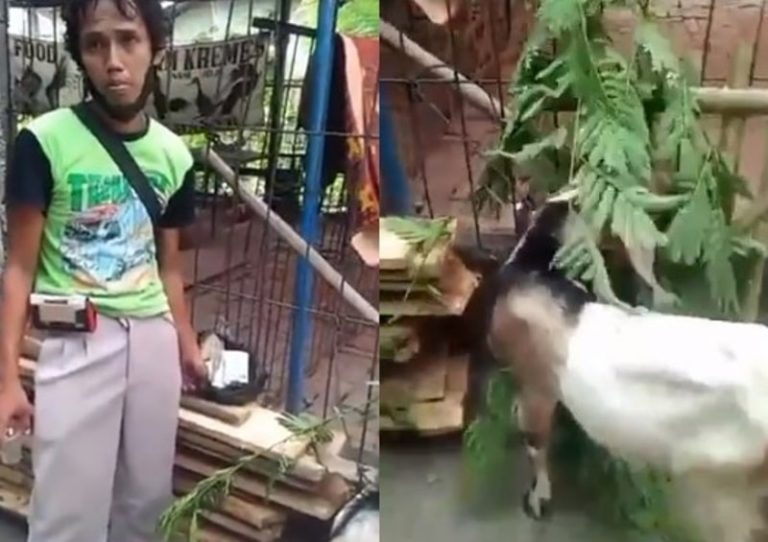 Salut Begini Kisah Pria Pengumpul Kardus yang Beli Hewan Kurban Pakai Uang Rp 2 Ribuan