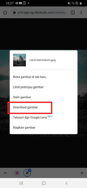 Cara Download Foto Profil TikTok dengan Mudah