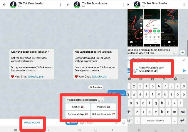 Cara Download Video TikTok di Telegram Dengan Mudah