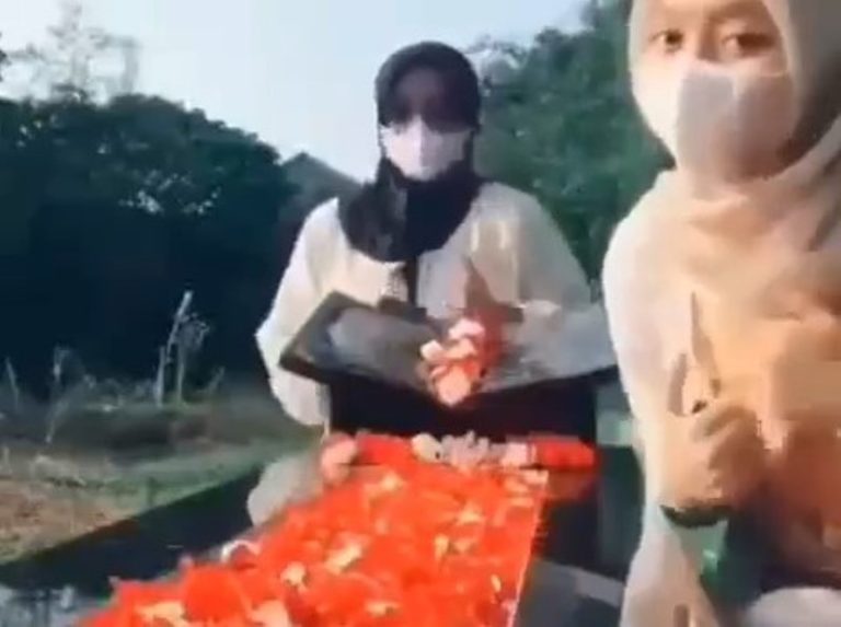 Miris Dua Wanita ini Malah Asyik Joget TikTok Diduga di Makam Ayahnya