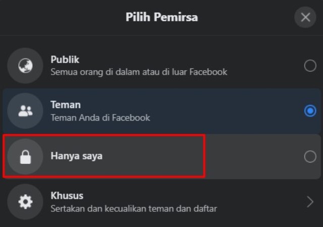 Privasi Hanya Saya