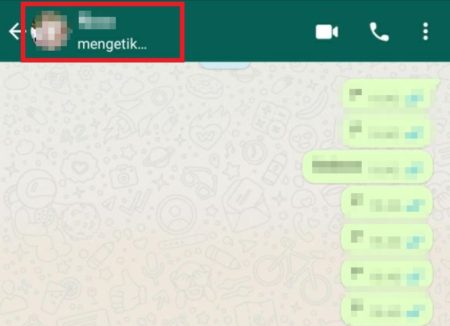 Cara Agar WhatsApp Tidak Terlihat Sedang Mengetik Tanpa Aplikasi