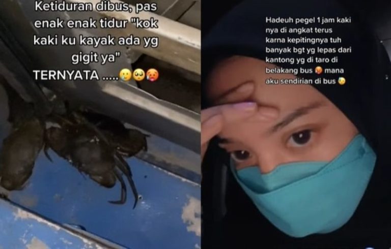 Curhatan Wanita Ketiduran di Dalam Bus Auto Kebangun Gegara Hewan ini