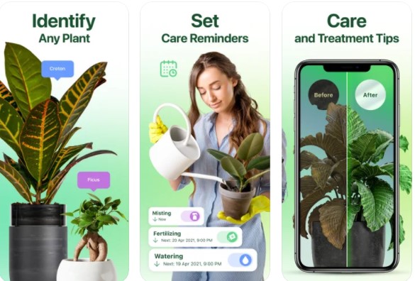 NatureID Plant Identification iOS