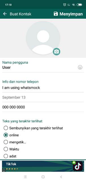 Pengaturan Chat Palsu