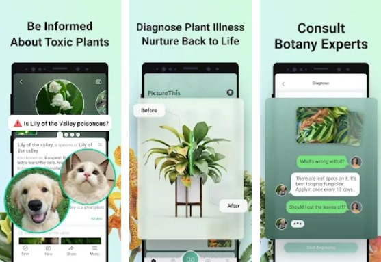 PictureThis Aplikasi Identifikasi Tanaman Android dan iOS