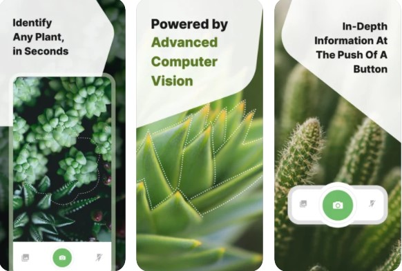 Plant Identification Aplikasi Identifikasi Tanaman iOS