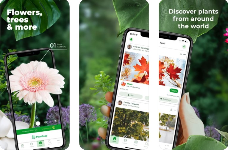 PlantSnap Android dan iOS