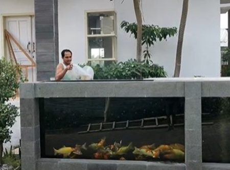 Unik dan Kreatif Pagar Rumah Pria ini Terbuat dari Kolam Ikan Koi