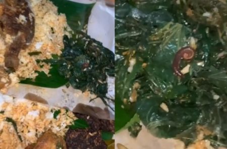 Viral Cerita Wanita Temukan Kaki Seribu di Nasi Padang yang Hendak Disantap