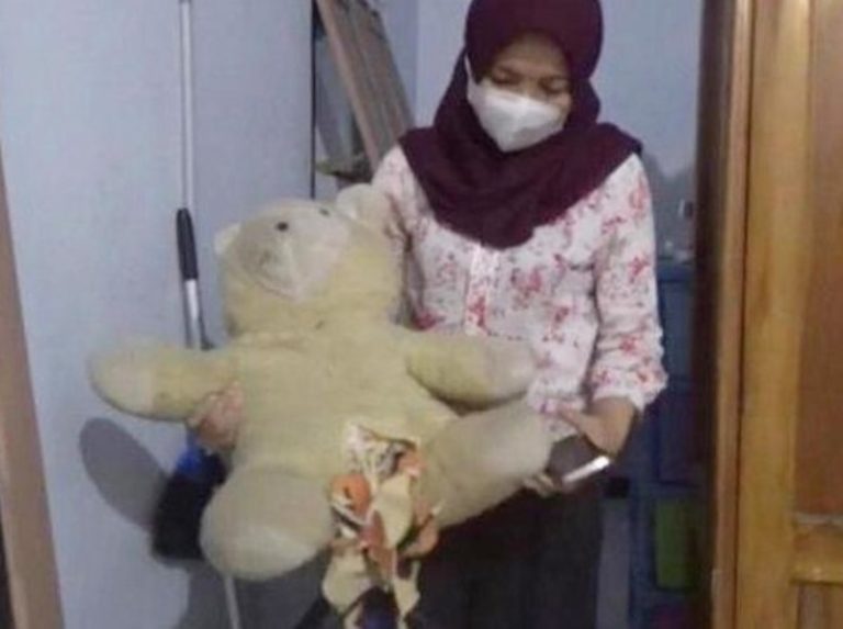 Heboh Pencurian Celana Dalam Wanita di Banyuwangi Pelakunya Juga Setubuhi Boneka