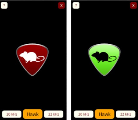 Rat Shield Aplikasi Pengusir Tikus di HP Android