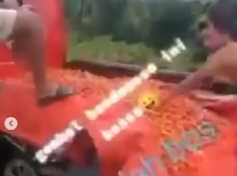 Diduga Gara gara Harga Anjlok Cabai Rawit Satu Pikap Dibuang ke Sungai