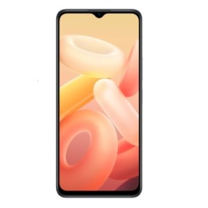 Vivo Y76s