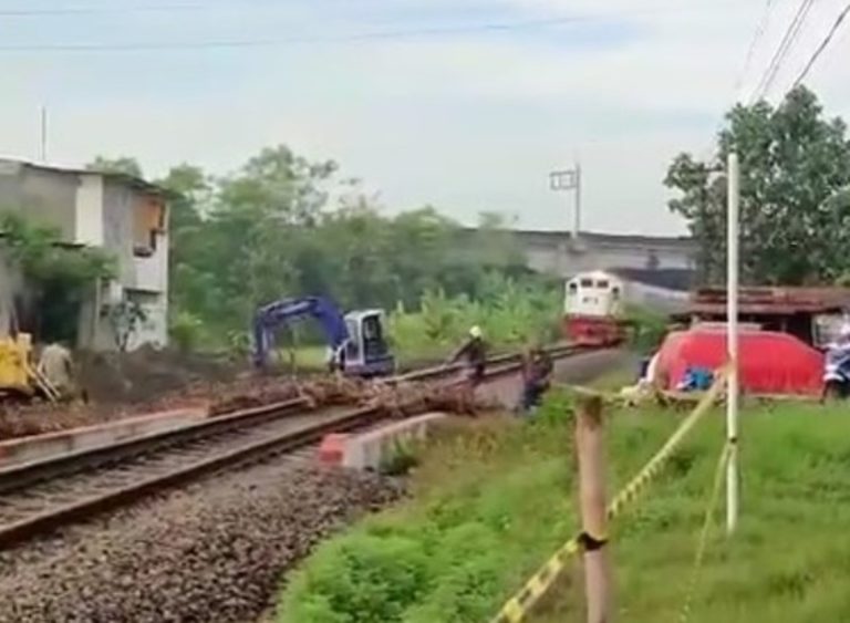 Kasihan Puluhan Bebek Tertabrak Kereta Saat Nyebrang di Rel