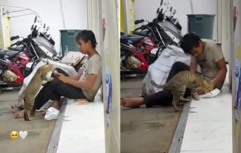 Meski Kekurangan Bocah Pemulung Tetap Berbagi Makanan Untuk Kucing Liar