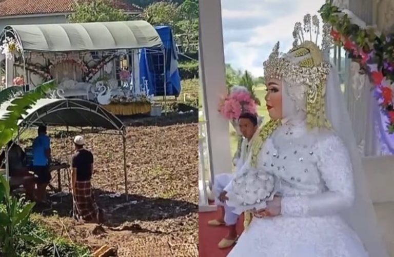 VIRAL Pasangan Pengantin Gelar Pesta Pernikahan di Tengah Sawah