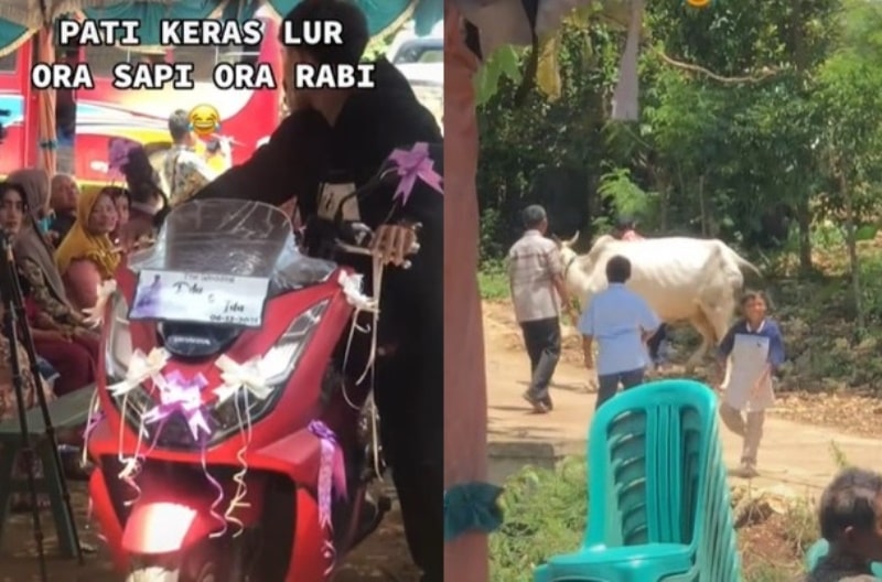 VIRAL Pria Bawa Seserahan Super Banyak Saat Lamaran Ada Perabot Rumah Motor Hingga Sapi