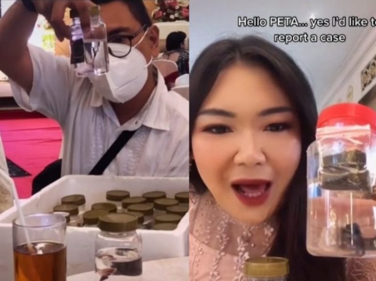 Viral Souvenir Pernikahan Unik Para Tamu Undangan Dapat Ikan Cupang