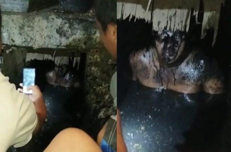Viral Video Pria Diduga Jambret Kepergok Sembunyi di Gorong gorong Usai Beraksi