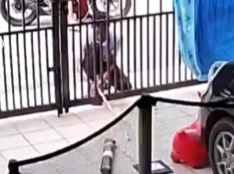 Terekam CCTV Detik detik Pemuda Curi Paket yang Tergeletak di Depan Rumah Warga