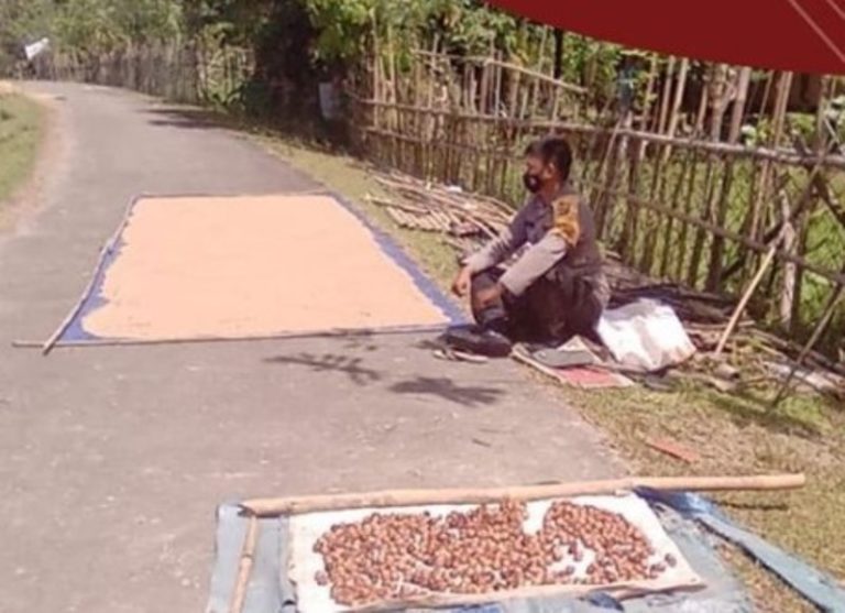 VIRAL Polisi Bersedia Gantikan Jaga Jemuran Gabah Agar Warga Bisa Ikut Vaksin