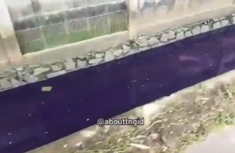 VIRAL Video Penampakan Air Got Warna Ungu di CikupaTangerang