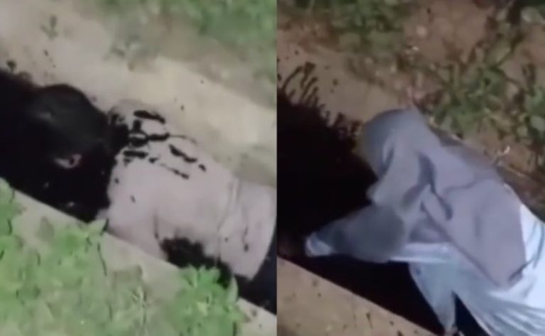 Viral Dua Sejoli Dihukum Mandi di Got Oleh Warga Diduga Akibat Berbuat Mesum