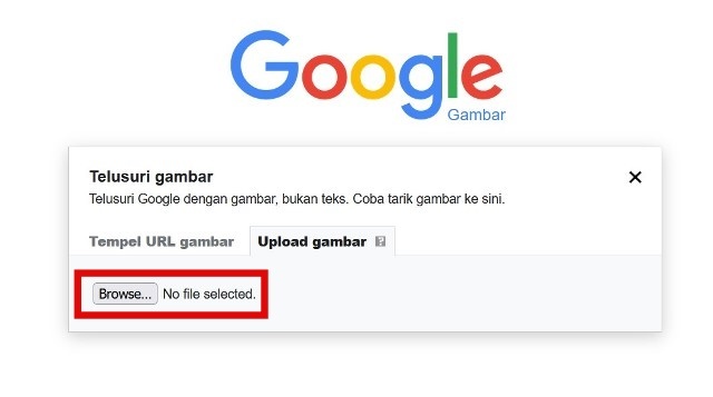 Masukan Gambar
