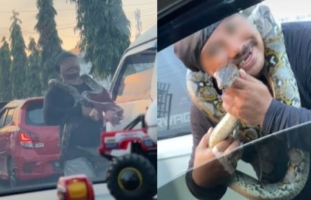 VIRAL Momen Pria Ngamen Ular di Jalan Raya Netter Salfok Lihat Kondisi Tangannya