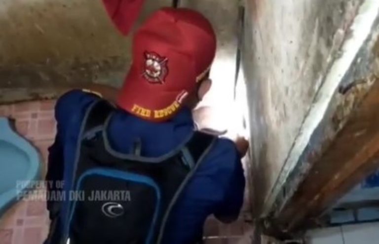 VIRAL Petugas Damkar Evakuasi Gigi Palsu Warga yang Jatuh ke Saluran Pembuangan Totalias Banget