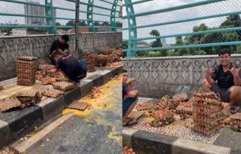 Viral Ratusan Telur Jatuh Berserakan di Jalan Reaksi Pengangkutnya Tetap Santuy
