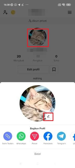 Foto Profil Transparan