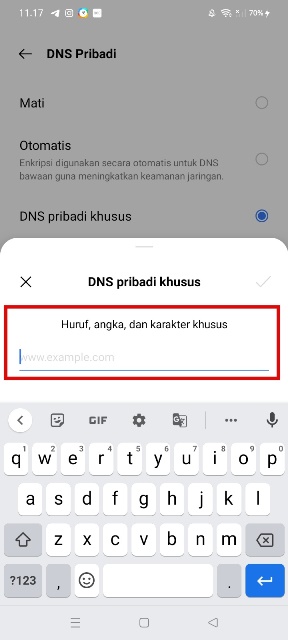 Masukan Nama DNS dan Simpan