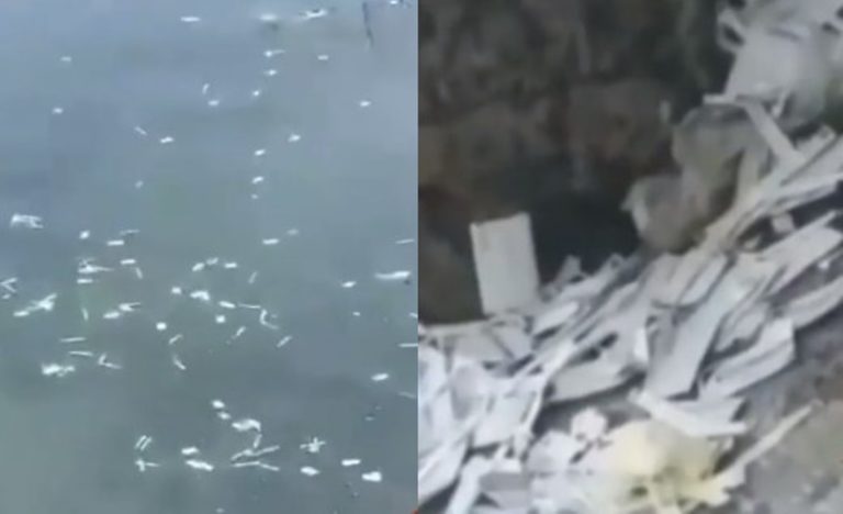 VIRAL Video Temuan Limbah Rapid Tes Antigen yang Dibuang di Selat Bali