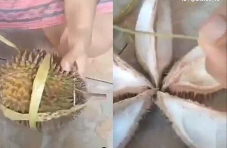 Viral Emak emak Curhat Ketipu Beli Durian Bekas Isinya Kosong Melompong