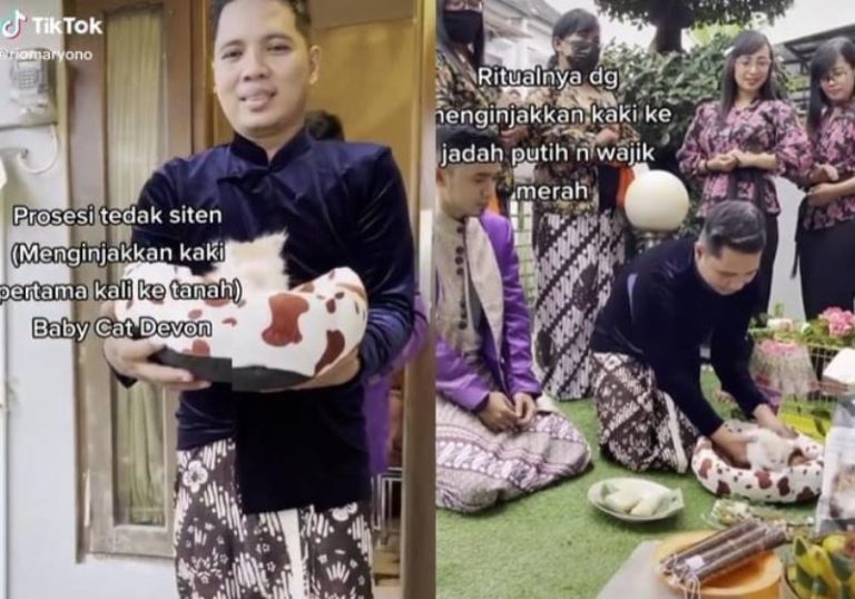 Viral Pria Gelar Prosesi Tedak Siten Untuk Anak Kucing Peliharaannya