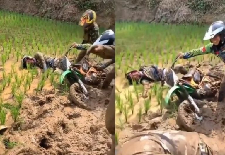 Diduga Main Terabas di Sawah Para Pemotor Trail ini Bikin Tanaman Padi Rusak