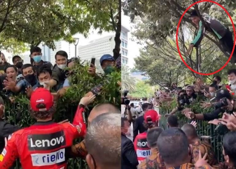 VIRAL Aksi Driver Ojol Demi Bisa Salaman dengan Francesco Bagnaia Sampai Nekat Panjat Pohon