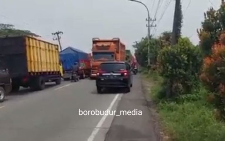 Viral Mobil Nekat Lawan Arah Demi Hindari Macet Pasrah Saat Dipaksa Mundur Truk