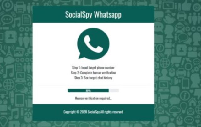 Social Spy WhatsApp