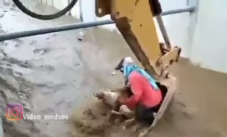 Viral Tukang Bangunkan Naik Excavator Demi Selamatkan Anjing yang Terbawa Arus Sungai